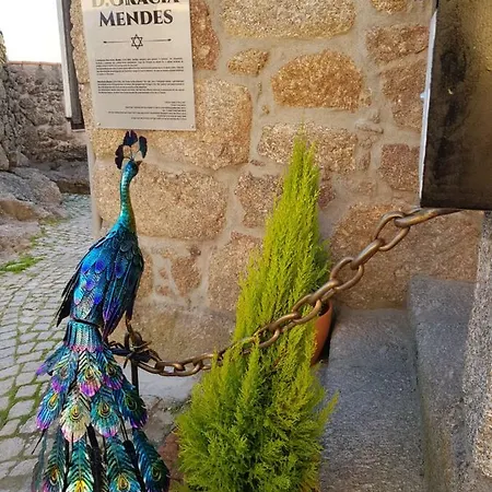 Dona Gracia Feriehus Belmonte (Castelo Branco)