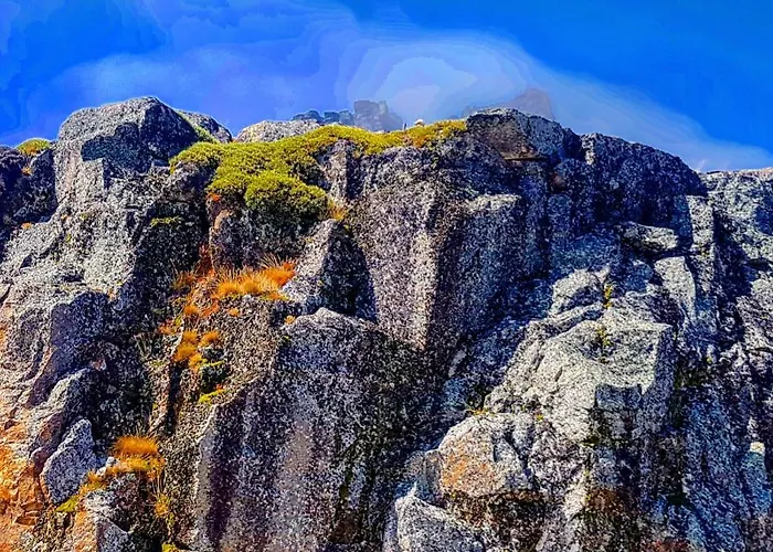 Dona Gracia * ベルモンテ