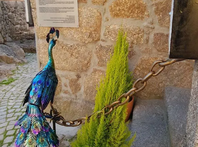 Dona Gracia בית נופש בלמונטה